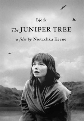 The Juniper Tree; A Tale of Revenge Wrapped in a Cloak of Mystery!