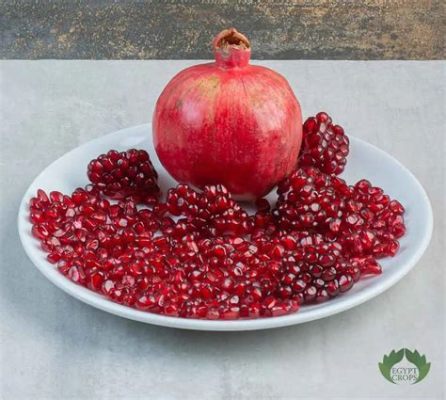 Youssef and the Magical Pomegranate – A Journey Through Egyptian Folklore and its Timeless Wisdom